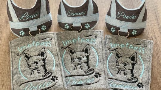 Hunde & Katzen Impfpaesse